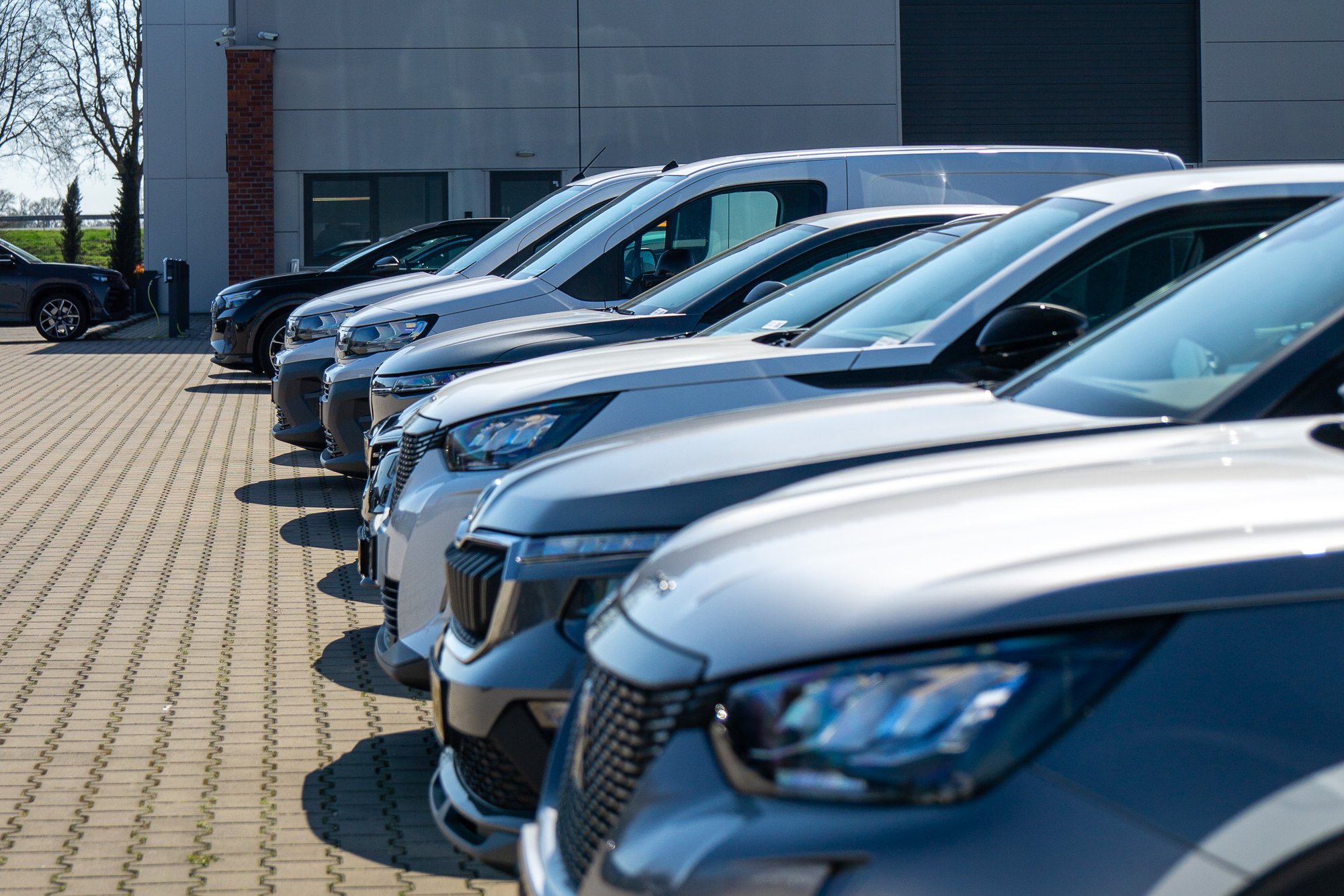 DSC08415-4 DSC08415-4